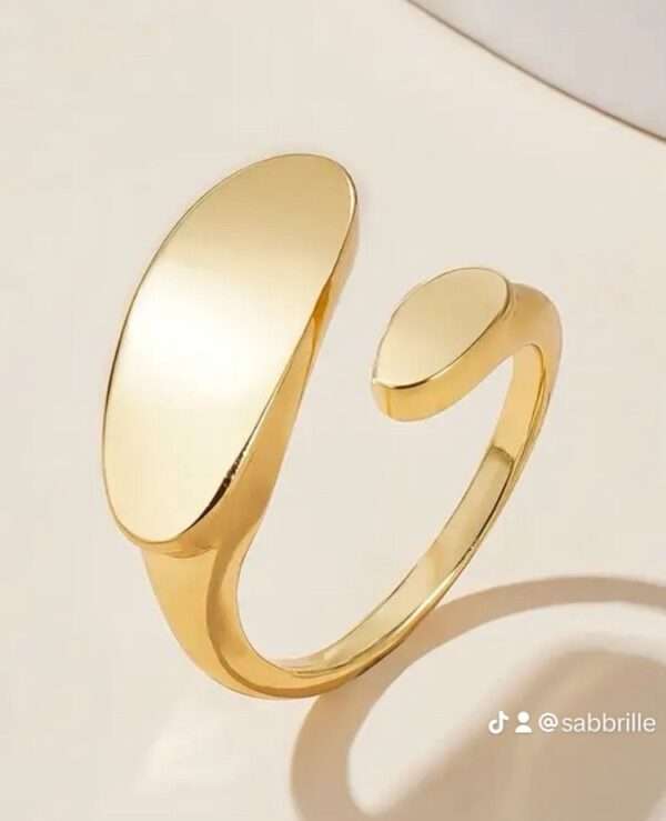 Bague double plat